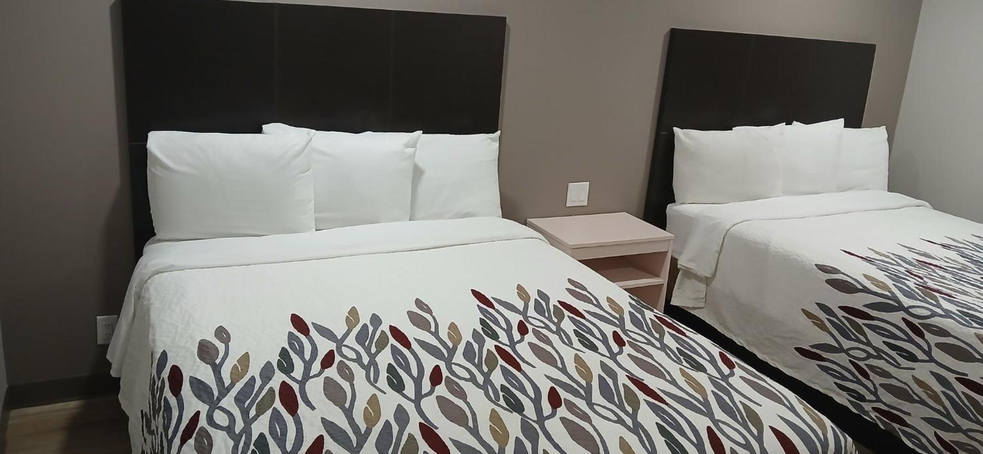 Red Roof Inn & Suites Euless - Dfw Airport Southwest Екстер'єр фото